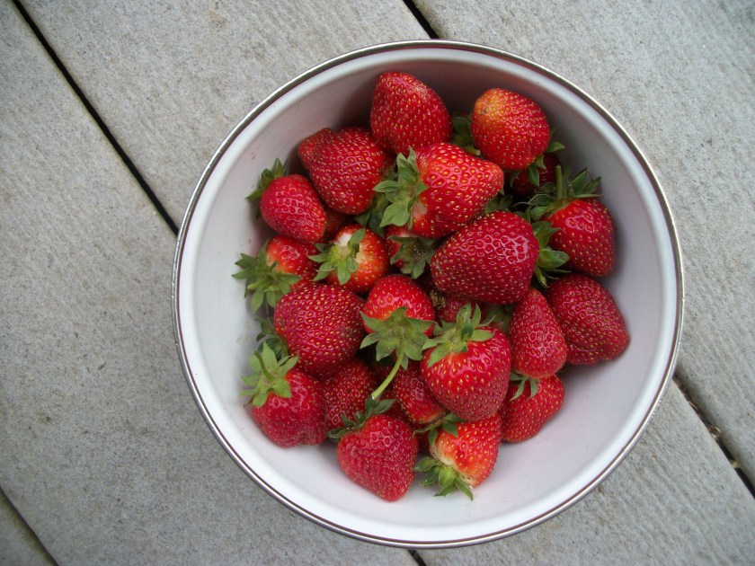 Strawberries, June 2013