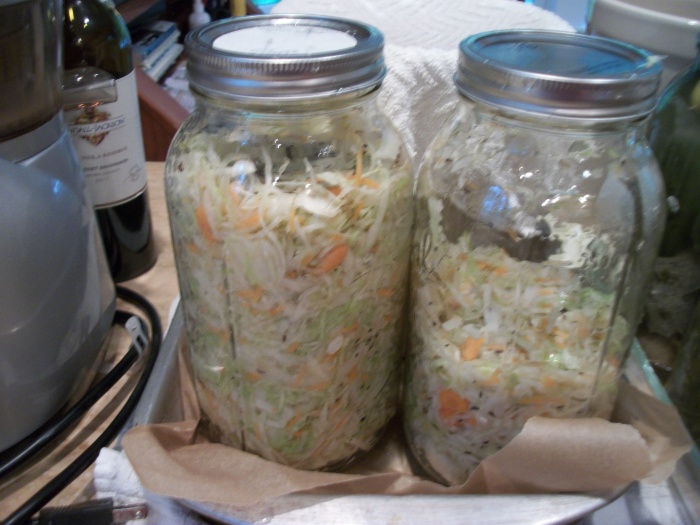 Lacto fermented cabbage